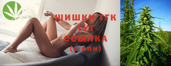 стаф Алзамай