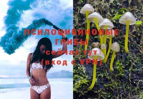 мяу мяу мука Алексин