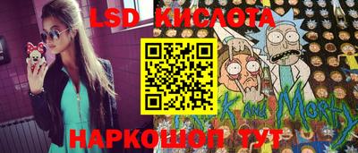 гашик Кандалакша