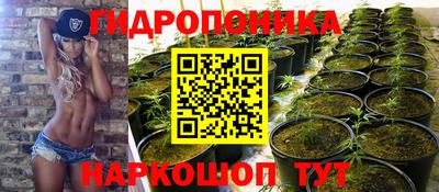 гашик Кандалакша