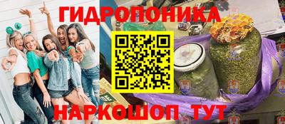 гашик Кандалакша