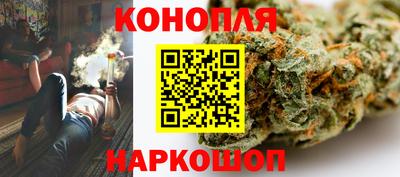 гашик Кандалакша