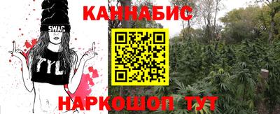 сатива Камышлов
