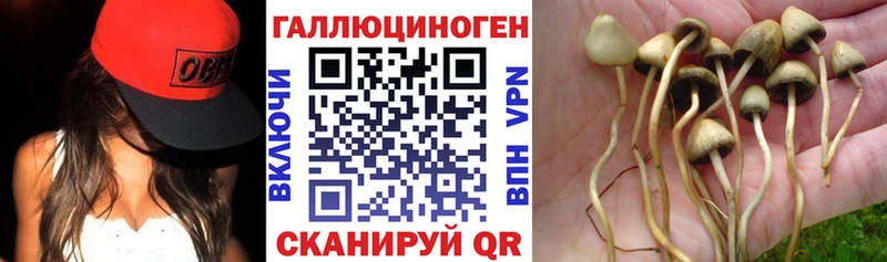 купить наркотики сайты  Нурлат  ОМГ ОМГ зеркало  Галлюциногенные грибы Psilocybe 