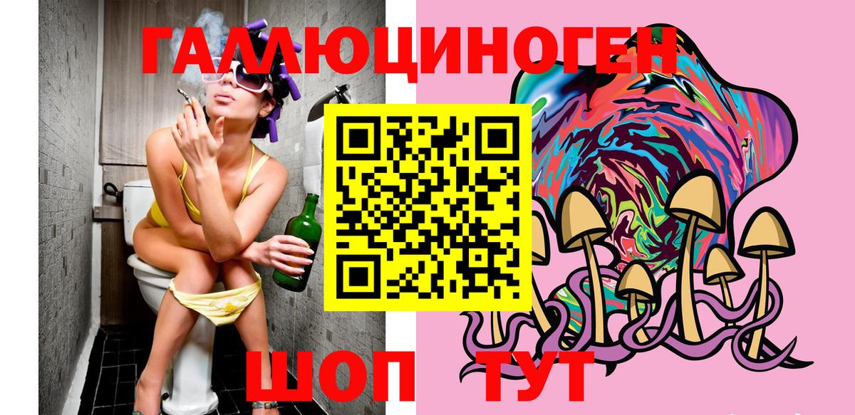 Галлюциногенные грибы Psilocybe Нурлат